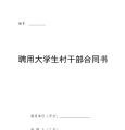 聘用大学生村干部合同书